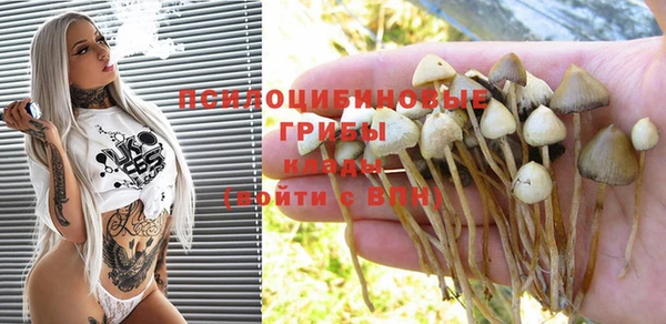 мяу мяу мука Новокубанск
