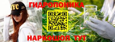 хмурый Апрелевка