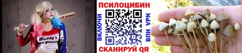 Псилоцибиновые грибы GOLDEN TEACHER Новомосковск