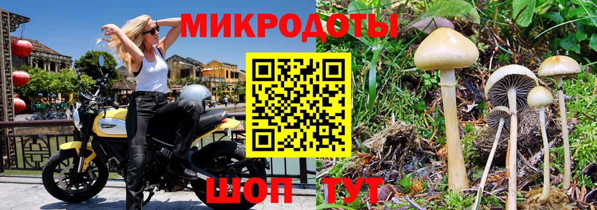 Псилоцибиновые грибы ЛСД Новомосковск