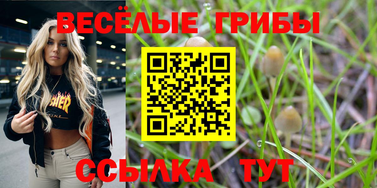 Псилоцибиновые грибы GOLDEN TEACHER  продажа наркотиков  Галлюциногенные грибы мухоморы  Новомосковск 