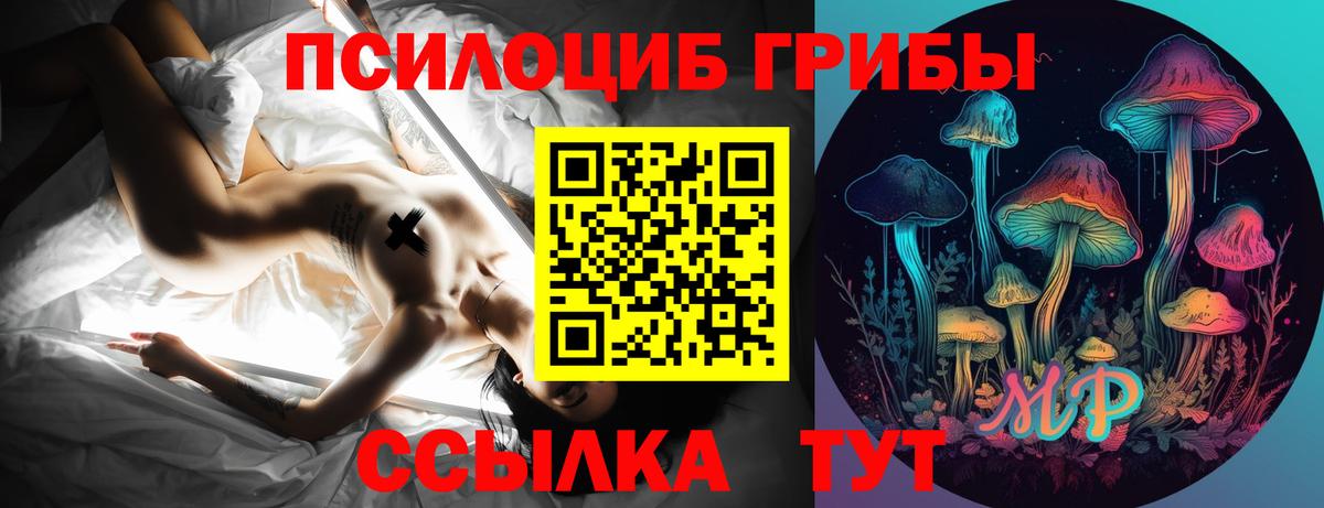 Псилоцибиновые грибы Cubensis Новомосковск